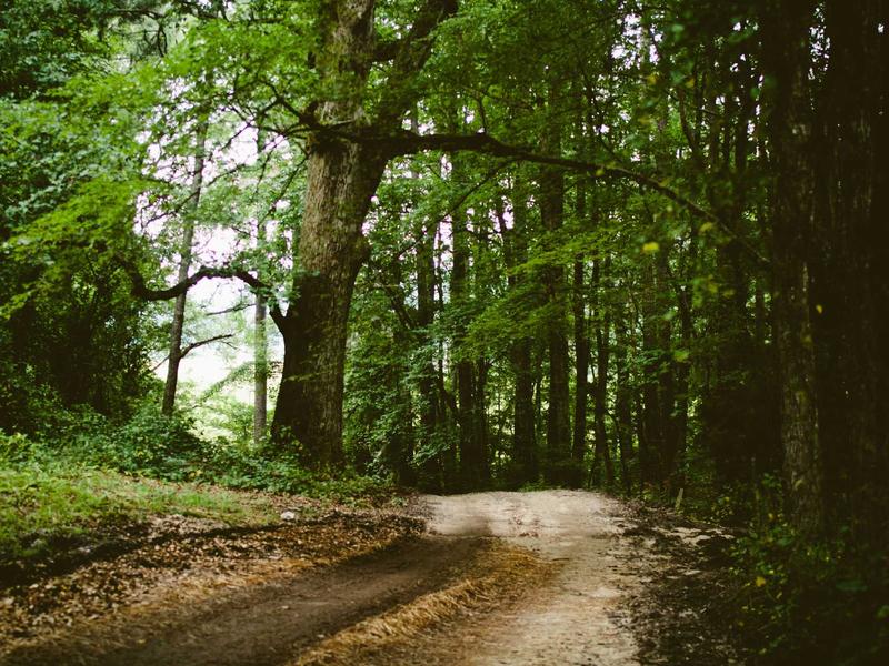 sudoku grid completion screenshot 1